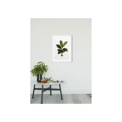KomarWandbild Elastica Leaf 40x50 cm