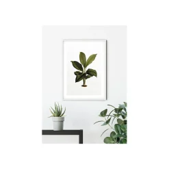 KomarWandbild Elastica Leaf 40x50 cm