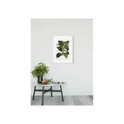 KomarWandbild Elastica Tree 50x70 cm