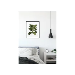 KomarWandbild Elastica Tree 40x50 cm