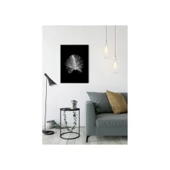 KomarWandbild Feather Black 50x70 cm
