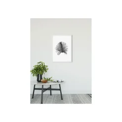 KomarWandbild Feather White 50x70 cm