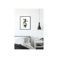 KomarWandbild Ficus Branch 50x70 cm