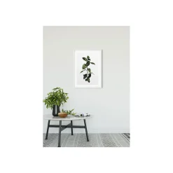 KomarWandbild Ficus Branch 40x50 cm