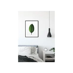 KomarWandbild Ficus Leaf 50x70 cm
