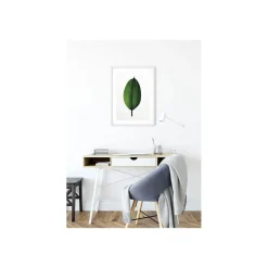KomarWandbild Ficus Leaf 50x70 cm