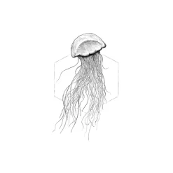 KomarWandbild Jellyfish White 50x70 cm