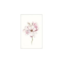 KomarWandbild Magnolia Blossom 40x50 cm