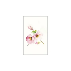 KomarWandbild Magnolia Breathe 50x70 cm