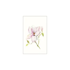 KomarWandbild Magnolia Shine 40x50 cm