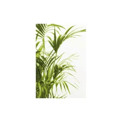 KomarWandbild Reed Leaves- 40x50 cm