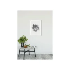 KomarWandbild Succulent Agave 50x70 cm