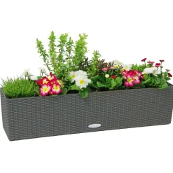 LECHUZA Blumenkasten Balconera Cottage 50 granit