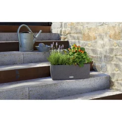 LECHUZA Blumenkasten Balconera Cottage 50 granit