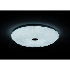 LED-Deckenleuchte Shining Coral 24W