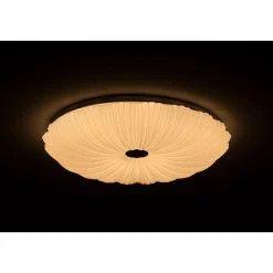LED-Deckenleuchte Shining Coral 24W