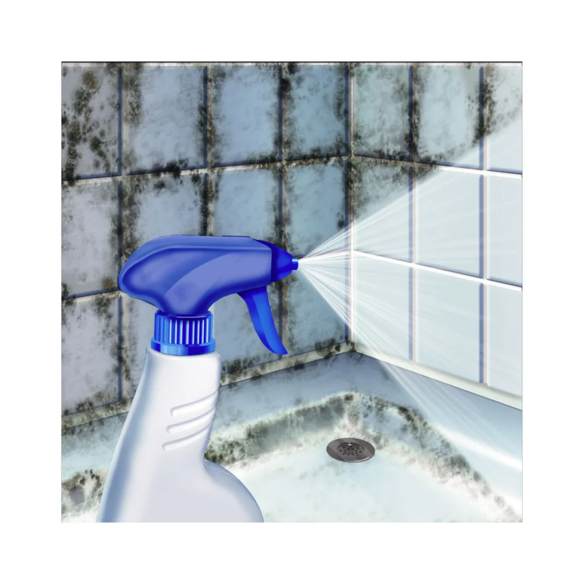 MEM Schimmelvernichter 500ml