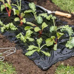 Mulch-Folie 10x1,2m