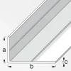 MyTool Winkel 29,5 x 53,6 mm 2,5m ungleichschenklig blank