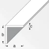MyTool Winkel 25 x 25 x 1,8 mm 1m schwarz