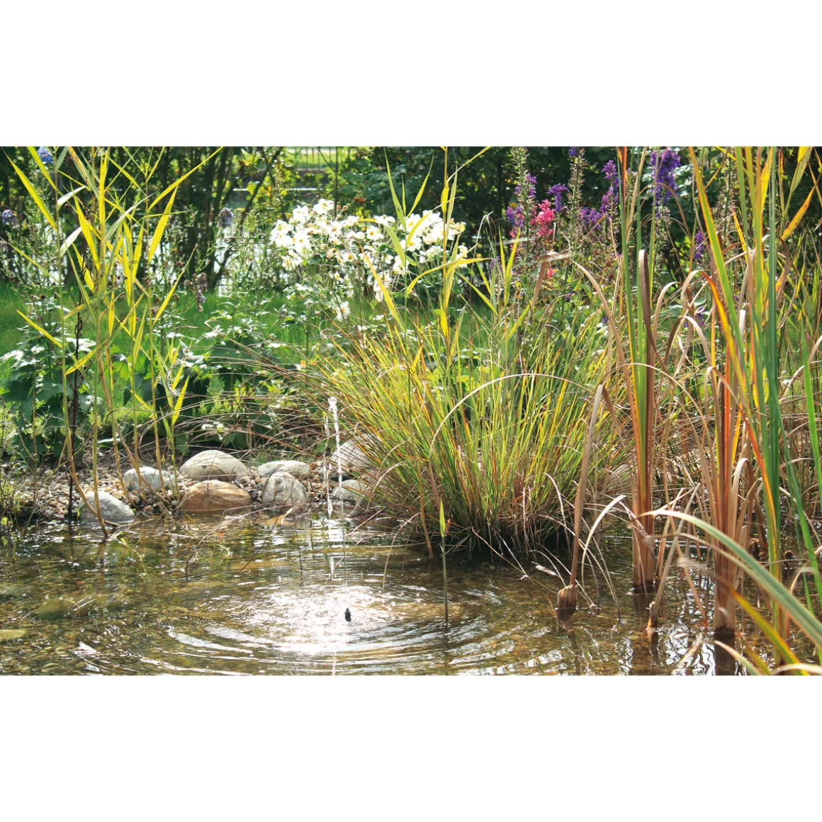 Oase PontecPondoSolar-Wasserspiel Solar 150