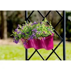 PlantiflorGlockenblume blau Topf 11 cm