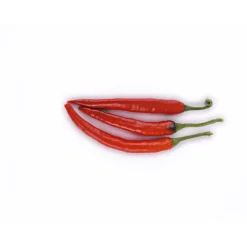PlantiflorMeisterklasse Peperonie Vulkan Topf Durchmesser 11 cm