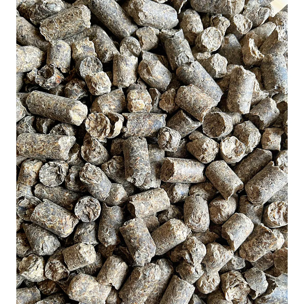 Rübenmelasseschnitzel 25 kg pelletiert