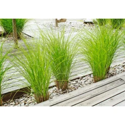 Rettenmeier Terrassendiele Kiefer grau 200 x 12 x 2,1 cm