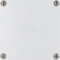 REV Ritter Abzweigkasten IP54/65 grau