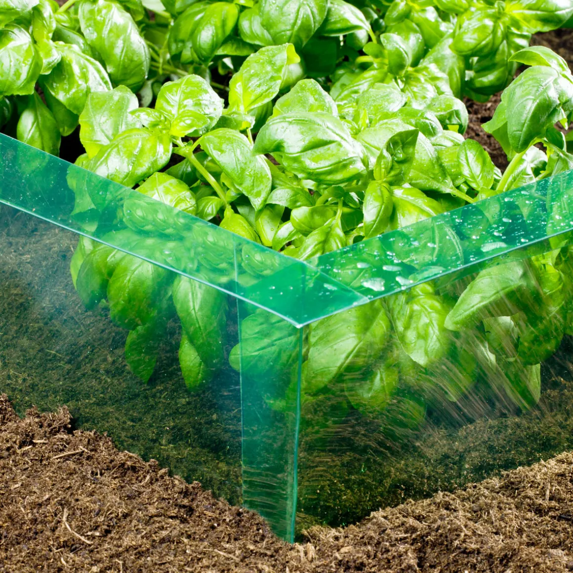 Schneckenbarriere PET 20 cm x 8 m
