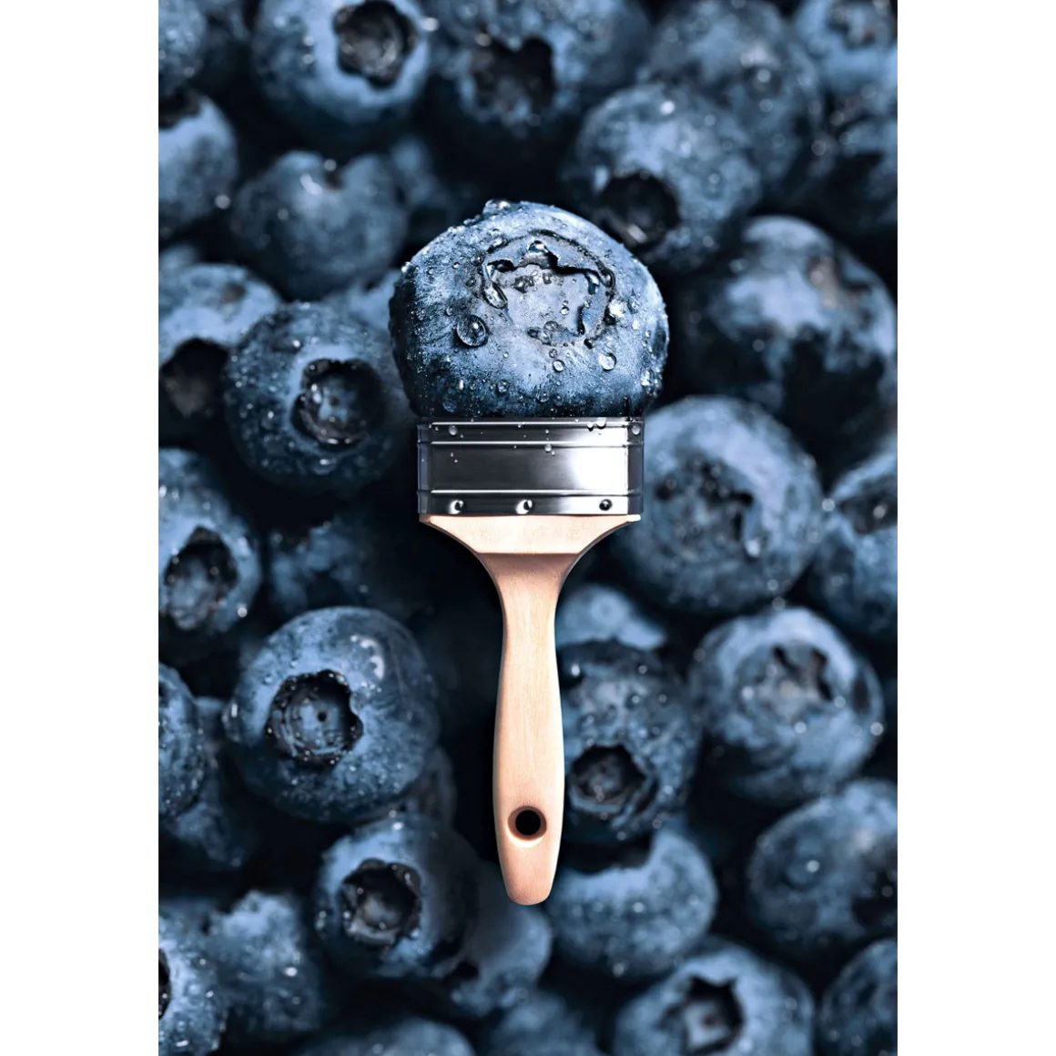 Schöner Wohnen Farbe Trendfarbe Blueberry 1 L