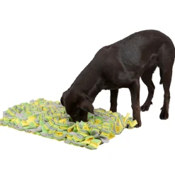 Schnüffelteppich 70 x 50 cm mehrfarbig