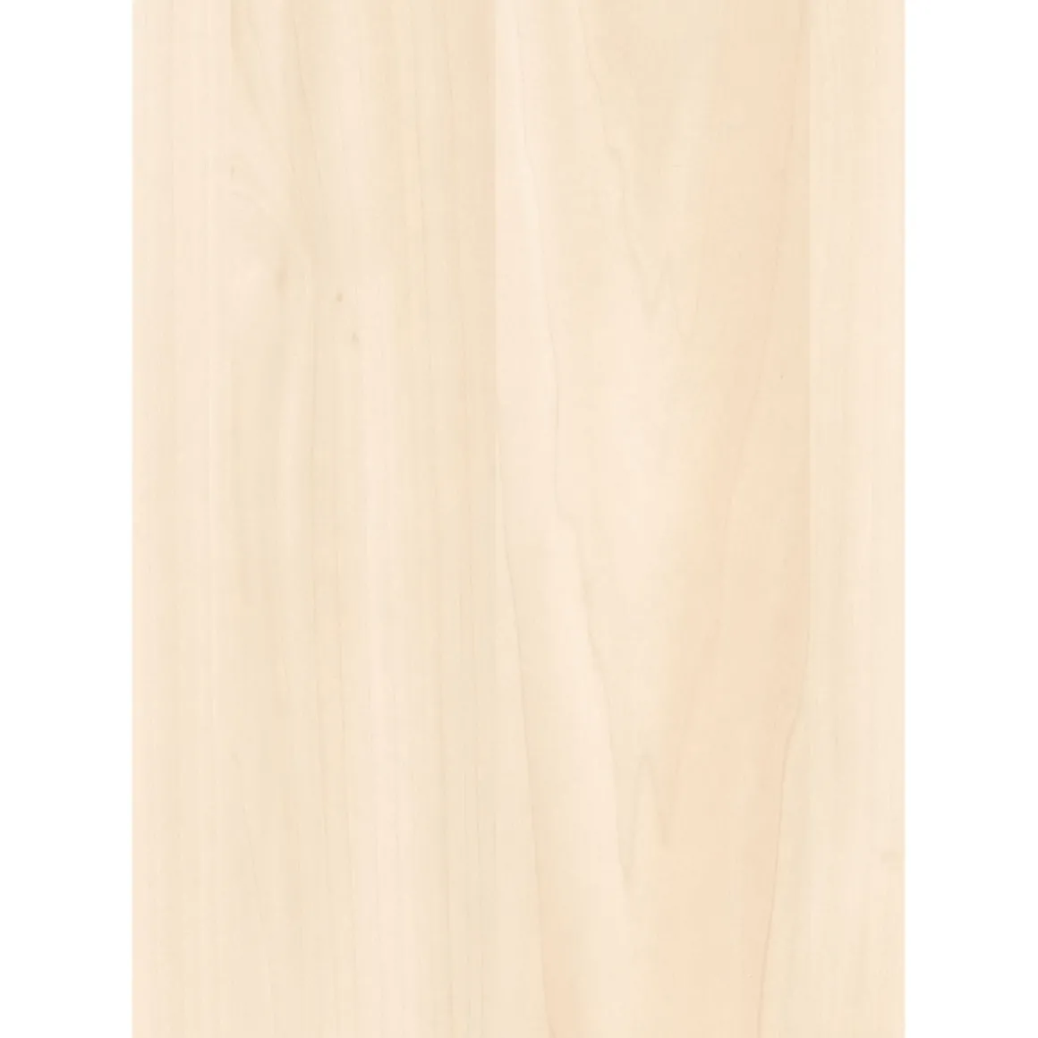 Specht Ambiente Paneel 10mm Birke hell