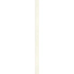 Specht Ambiente Paneel 10mm Pinie weiß