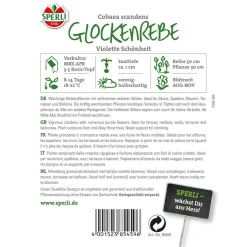 Sperli Glockenreben Violette Schönheit