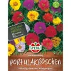 Sperli Portulakröschen Prachtmischung