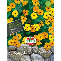 Sperli Schwarzäugige Susanne Helios Mischung