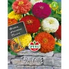 Sperli Zinnien Dahlienblütige Mischung