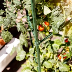 Tomaten-Rankturm 150x30cm