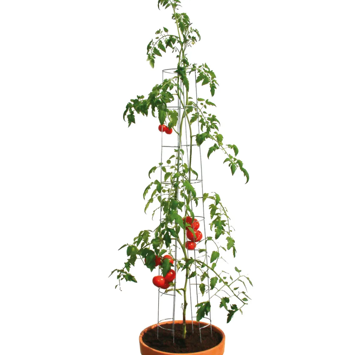 Tomatenturm 180 cm