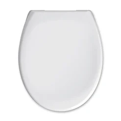 Valblue WC-Sitz Pebble Duroplast