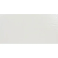 Wandfliese Elbe weiß matt 30x60x0,7 cm