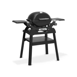 WeberGasgrill mit Stand Q1200N