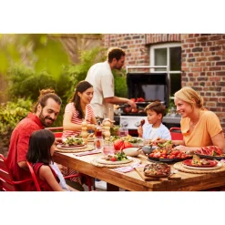 WeberGasgrill SPIRIT E-210