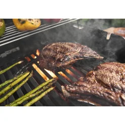 WeberGasgrill SPIRIT E-425 GBS