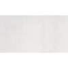 WF Parel white Luester matt 30x60x0,7cm