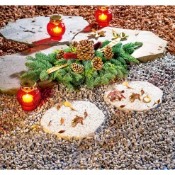 Wingart Granit-Trittstein Durchmesser ca 35 cm